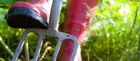 Forking the veg patch