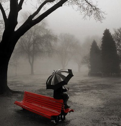 Rainy Eiffel Tower Pictures on Foggy  Rainy Day And A Red Bench  Colorful Picture